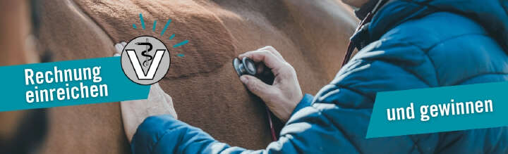 derm Onlinebanner